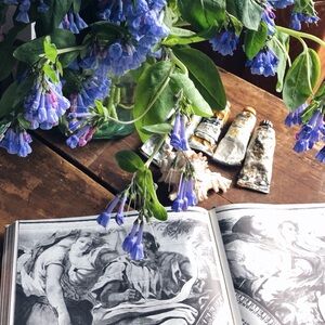 Meet your Posher, Gin